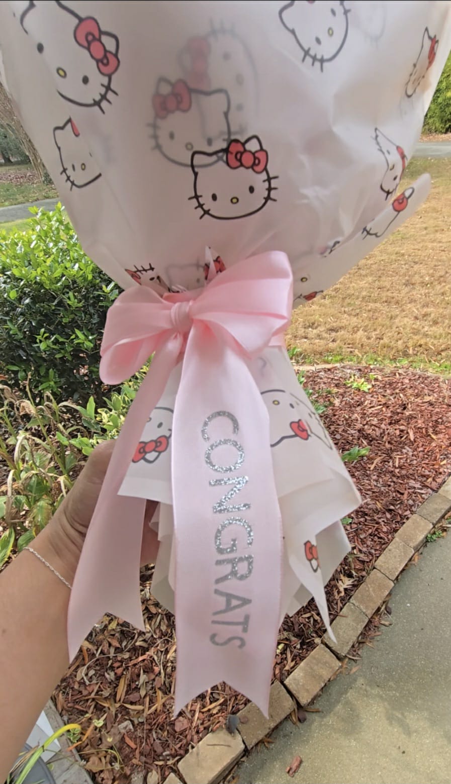 Small Money Bouquet: HELLO KITTY